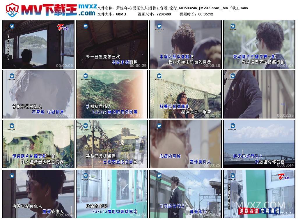 萧煌奇-心爱冤仇人(替换)_台语_流行_MC503246